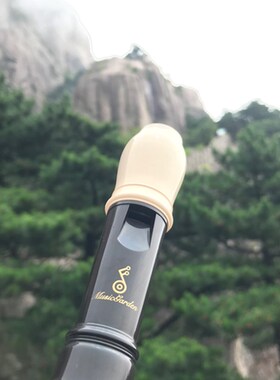 ui gdn音乐园 G德式高音八孔调学生竖笛