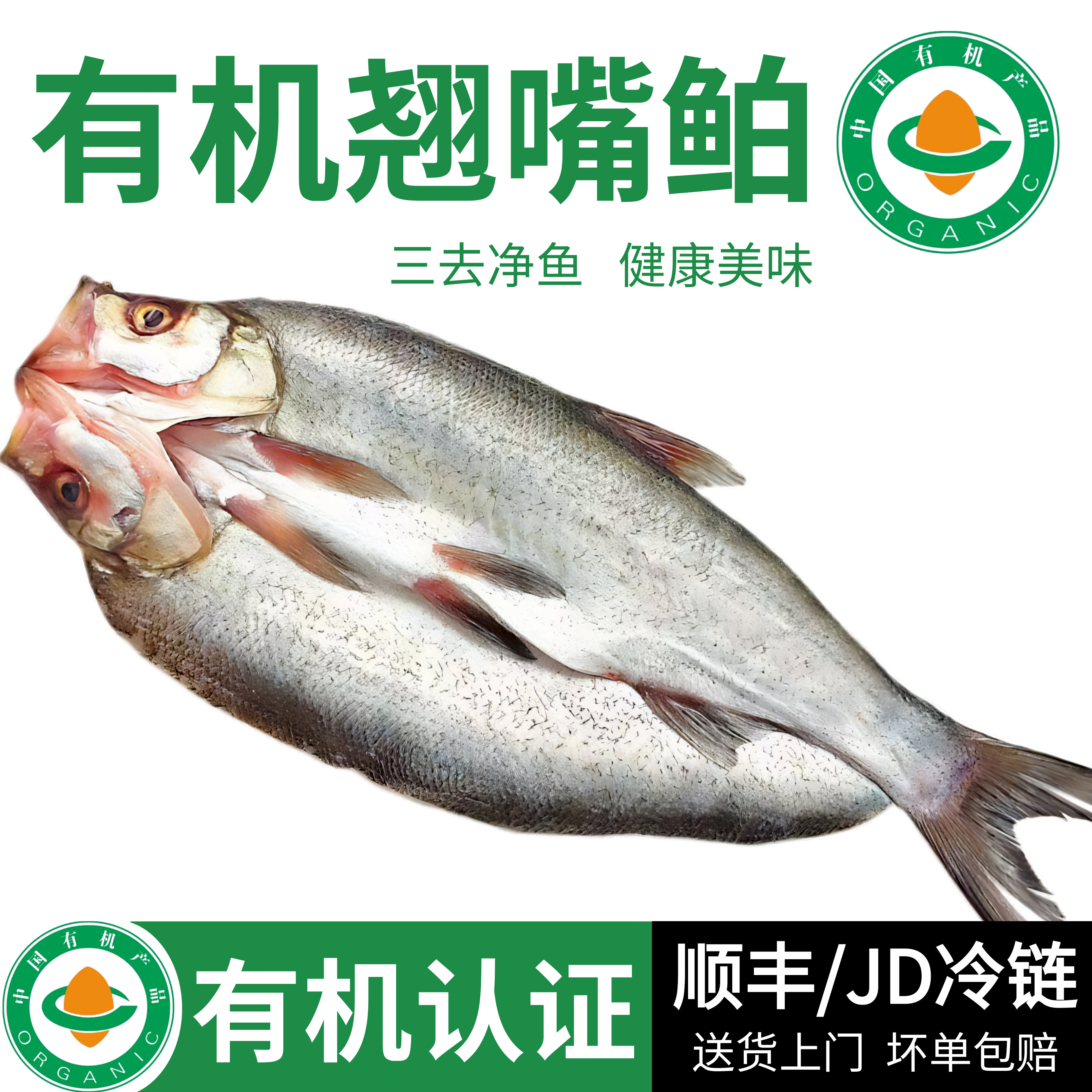 丹江口有机翘嘴鲌整条冰鲜大白刁