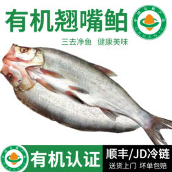 水都丹江口有机翘嘴鲌冰鲜淡水鱼大白刁子鱼翘嘴白鱼湖北水产送礼