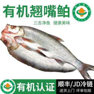 水都丹江口有机翘嘴鲌冰鲜淡水鱼大白刁子鱼翘嘴白鱼湖北水产送礼