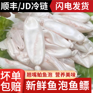 水都翘嘴鲌鱼泡丹江口市淡水鱼白鱼鱼杂鱼鳔鱼籽冰鲜冻水产