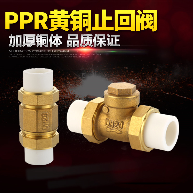 双热熔活接单向卧式逆止PPR黄铜止回阀自来水管4分6分1寸20 25 32