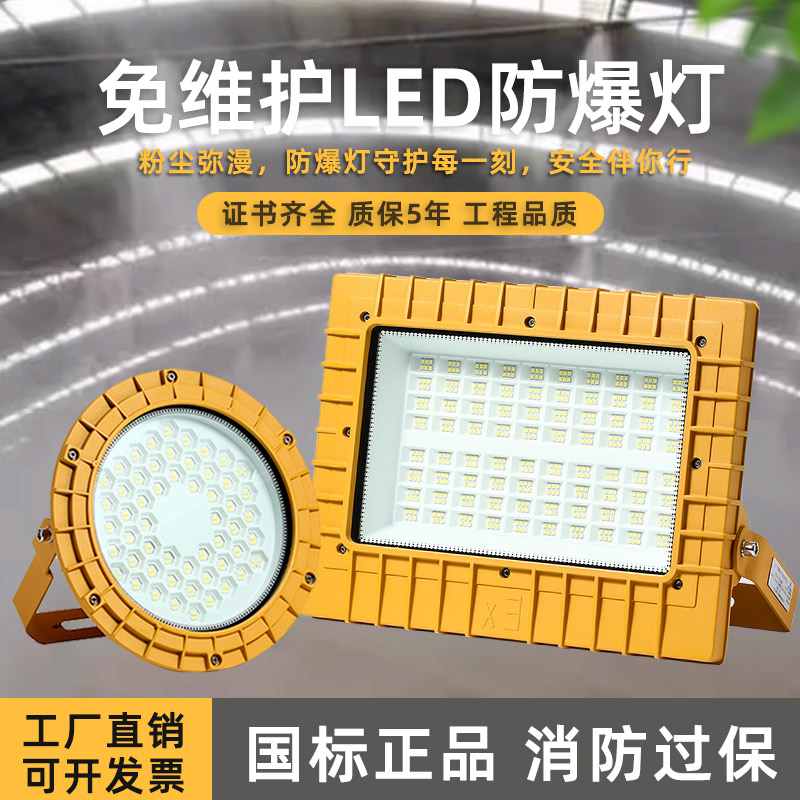 LED防爆灯泛光灯车间厂房仓库射灯加油站投光灯化工厂隧道三防灯