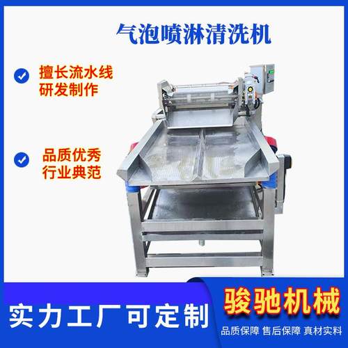 青辣椒清洗机 大枣花 椰菜 气泡喷淋清洗机 保鲜净菜加工生产线