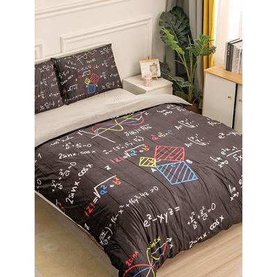 数学公式水晶绒被套四件套秋冬季加厚学生宿舍三件套学霸床上用品