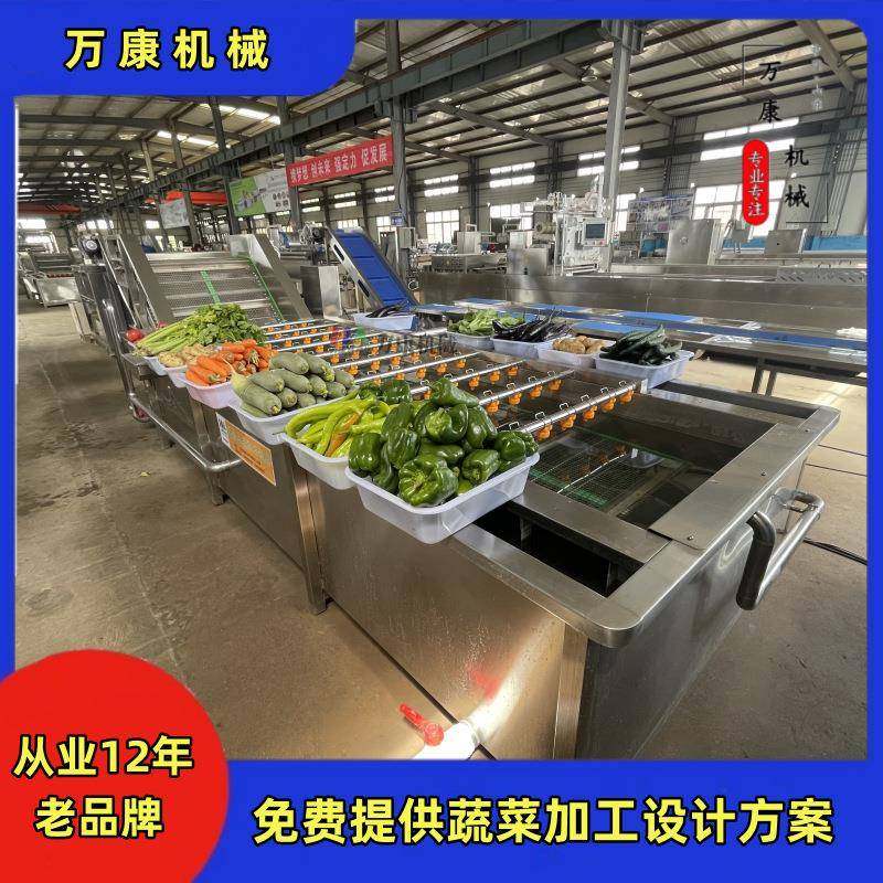 叶类蔬菜清洗机新品多功能果蔬气泡清洗线叶菜清洗加工线设备现货
