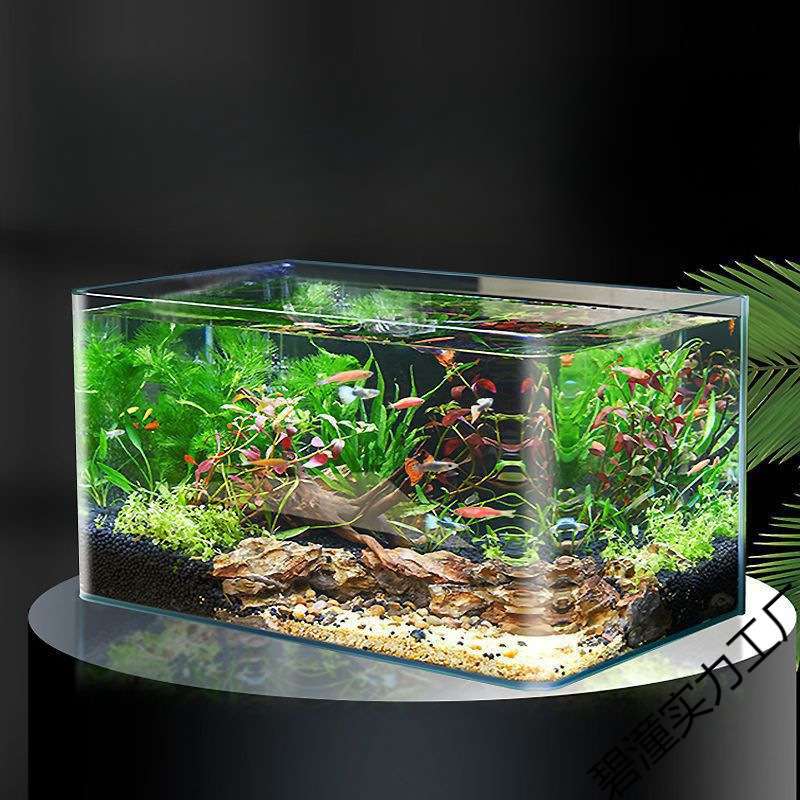 热弯玻璃鱼缸客厅小型水族箱桌面家用金鱼水造景长方形生态裸缸