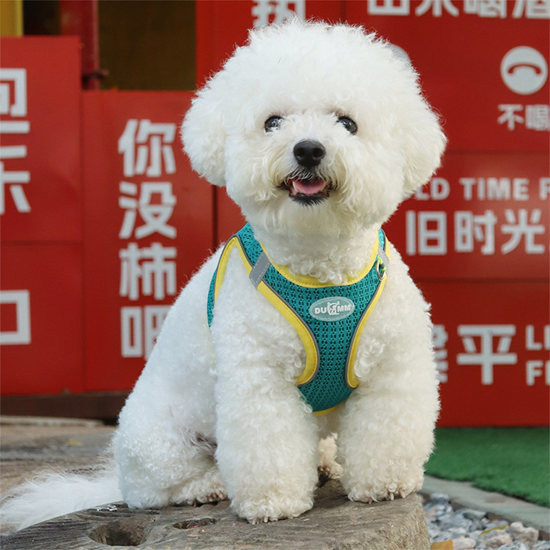 小狗狗牵引绳背心式遛狗绳子泰迪比熊小型犬胸背带外出狗链子宠物