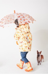 韩国has卡通动物雨伞宝宝可爱雨伞部分透明长柄伞男童女童防晒伞