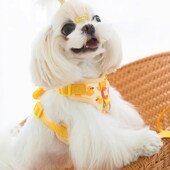 小狗狗牵引绳外出胸背带泰迪比熊贵宾幼犬遛狗链宠物背心式 猫绳子