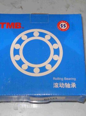 TMB天马 国产精品 NJ2309EM  NJ409EM 42609 45*100*36 NUP2306EM