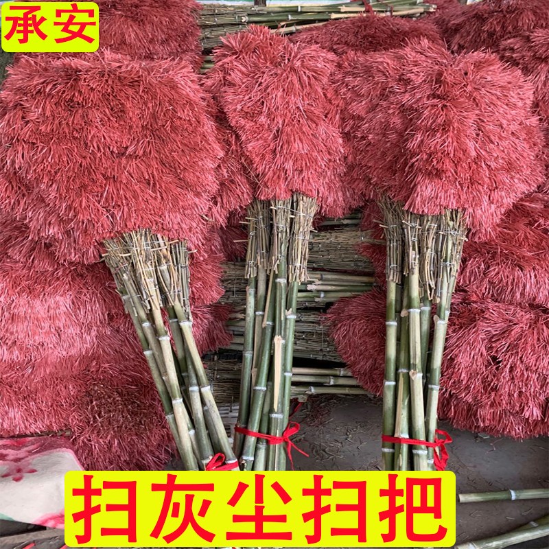 承安塑料丝大扫把扫地扫灰尘扫把无尘扫把R马路单个长扫室外
