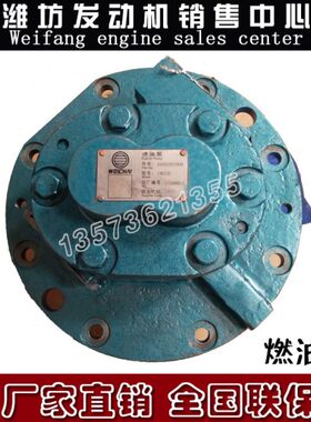 重庆潍柴CW6200柴油发动机CW6250船用8250输油泵1000207960手油泵