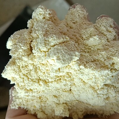 10斤现磨玉米面喂鸡鸭鹅狗猪牛家禽饲料细苞米面玉米粉