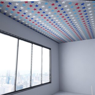 老房子防尘农村瓦房吊顶布专用布房屋顶天花板装饰遮丑布自装大布