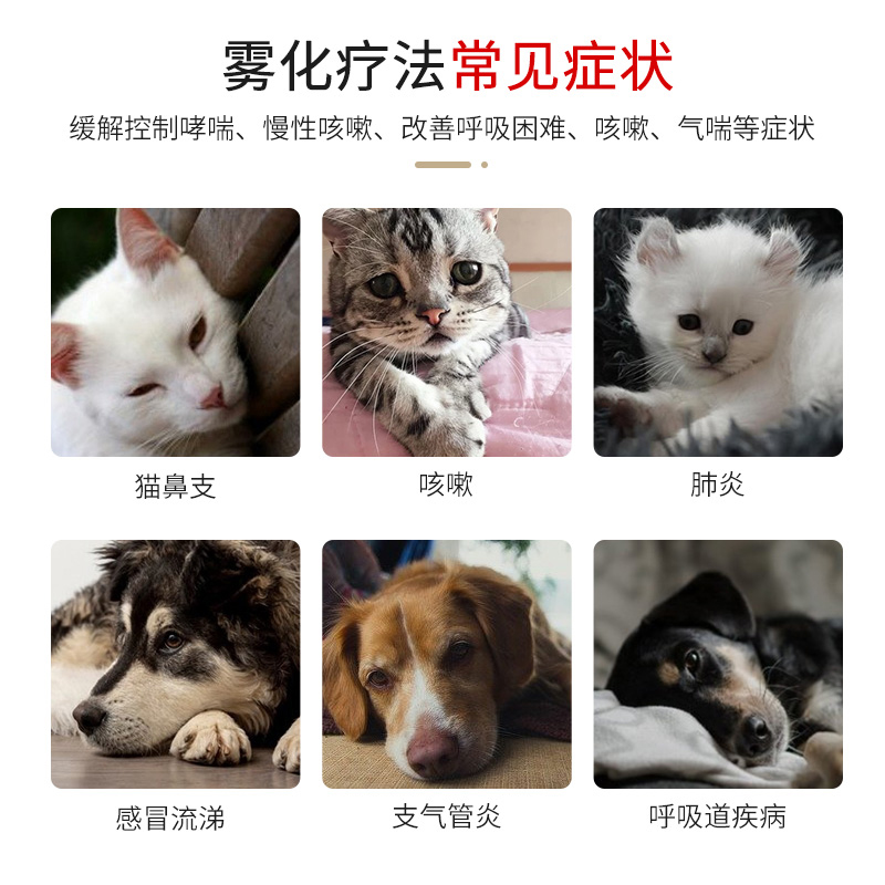 宠物雾化机宠物猫咪静音手持家用狗狗雾化机器化痰鼻支不应激
