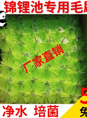 双熊鱼池过滤绿色毛刷锦鲤池水族鱼缸底滤养殖304不锈钢 过滤材料