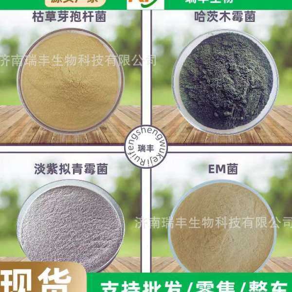 em菌堆发酵菌全水溶水产养殖农业种植em菌畜牧养殖复合菌EM菌粉