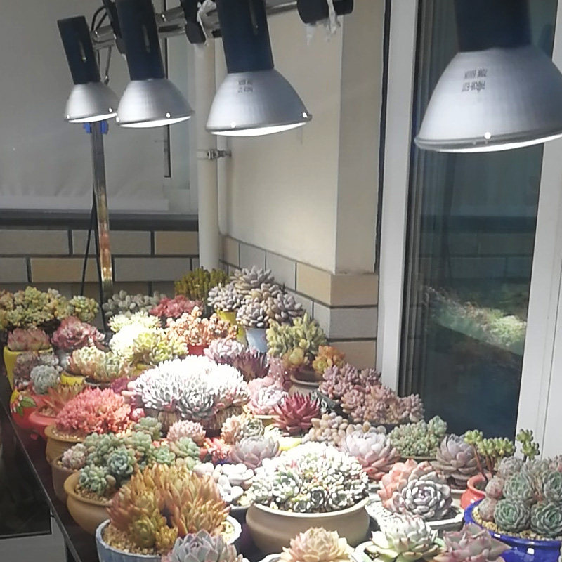 多肉金卤灯ld全光谱仿太阳上色鱼缸水草模拟阳光室内补光灯,家装灯饰光源,植物生长灯,淘宝优惠券,粉丝福利购,淘宝优惠卷