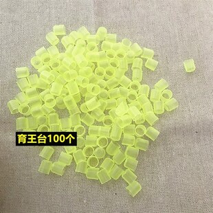 蜜蜂育王工具大全中蜂工培育蜂王育王框王台基王棒养蜂大全