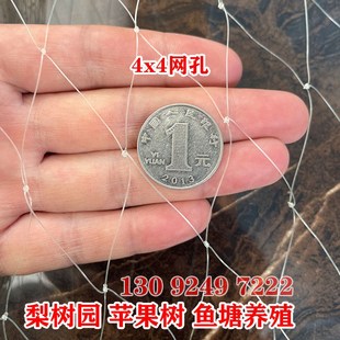鱼塘防鸟网泥鳅塘天网养殖网牛蛙网大网眼尼龙综丝纱网防鸟用的网