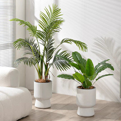 懒人花盆自动吸水花盆免浇水新款仿陶瓷圆形带底座绿萝兰花多肉盆