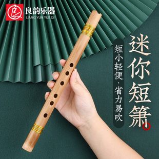 零基础入门洞箫便携苦竹高级短萧迷你小笛子古风六F调初学萧乐器