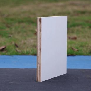 实木多层板材18mm整张免漆板生态板胶合板三聚氰胺板木工板