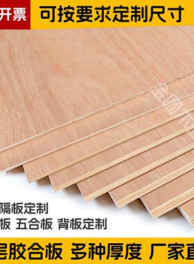 木板定制三合板多层实木胶合板木工板五合板背板隔板定做复合板材