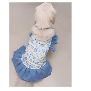 热销秋冬宠物猫咪狗狗衣服新款 卫衣加薄绒裙子中大型犬狗服装