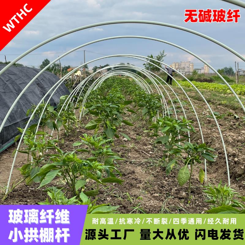 农用玻璃纤维杆防雨蔬菜拱棚竿支架架菜杆套棚农业用棚架塑料大棚