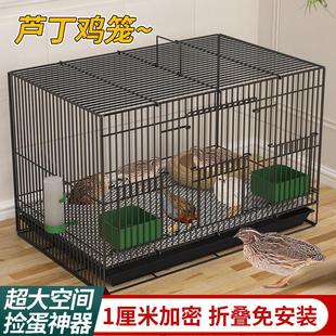 芦丁鸡专用养殖笼子家用加密大号芦丁鸡铁丝笼小鸡小鸭子鹌鹑鸟笼