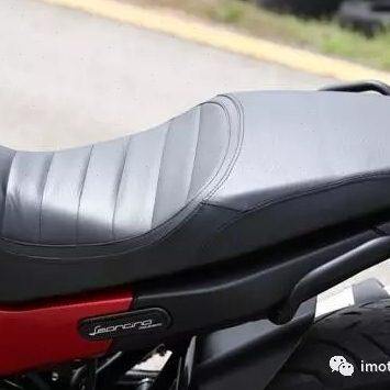 原厂幼狮BJ500 辐条轮版 幼狮BJ500 坐垫