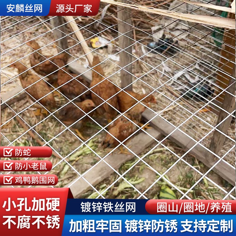 养鸡围栏网钢丝铁丝护栏网加厚菜地果园防护网镀锌铁丝养殖防护网