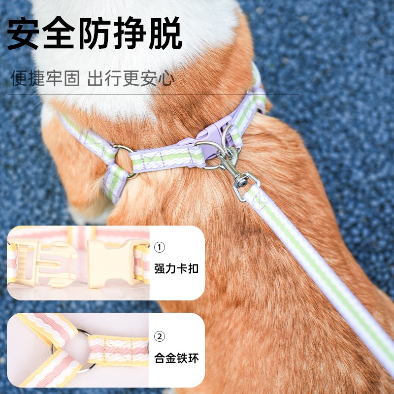 狗狗牵引绳狗胸背背心式遛狗绳子中小型犬柯基比熊夏季外出专用绳