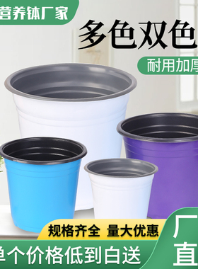 双色盆加厚蓝色白色紫色一次性塑料扦插育苗花盆草莓多肉种植盆