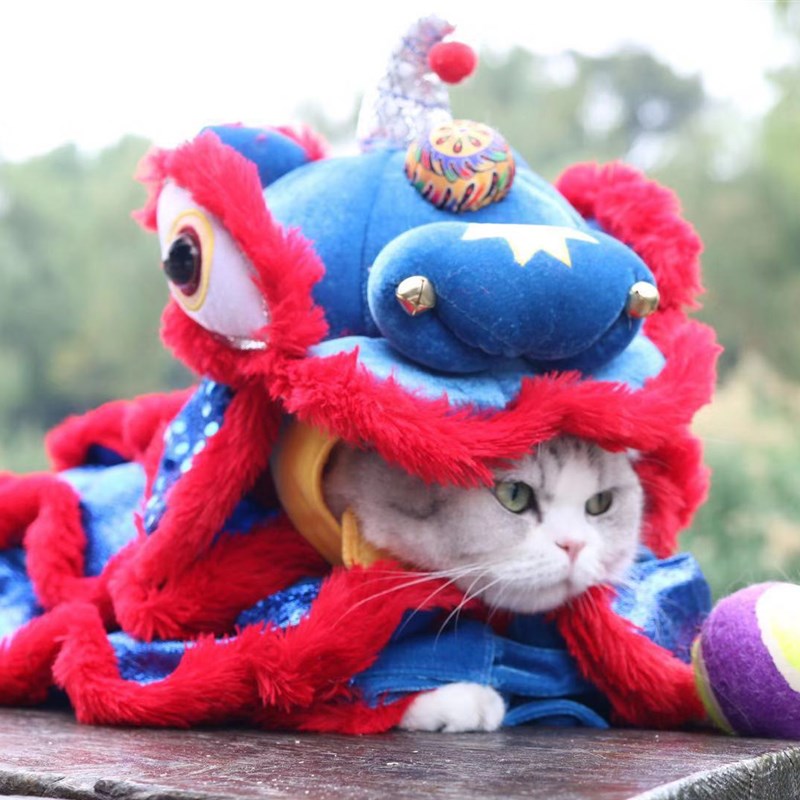 高端中小型犬新年舞狮衣服过年喜庆醒狮衣服泰迪柯基边牧冬天衣服