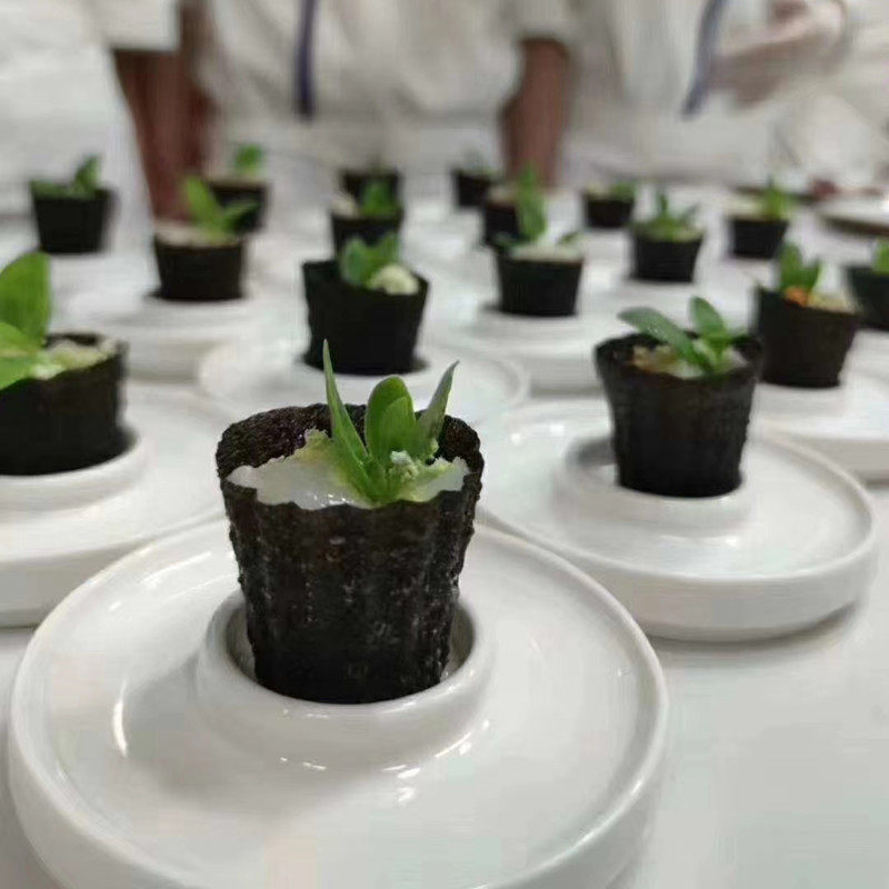 网红马来西亚烘焙DIY油炸小吃工具蛋挞西点饼干娘惹菜小金杯模具,厨房/烹饪用具,烘焙模具,淘宝优惠券,粉丝福利购,淘宝优惠卷