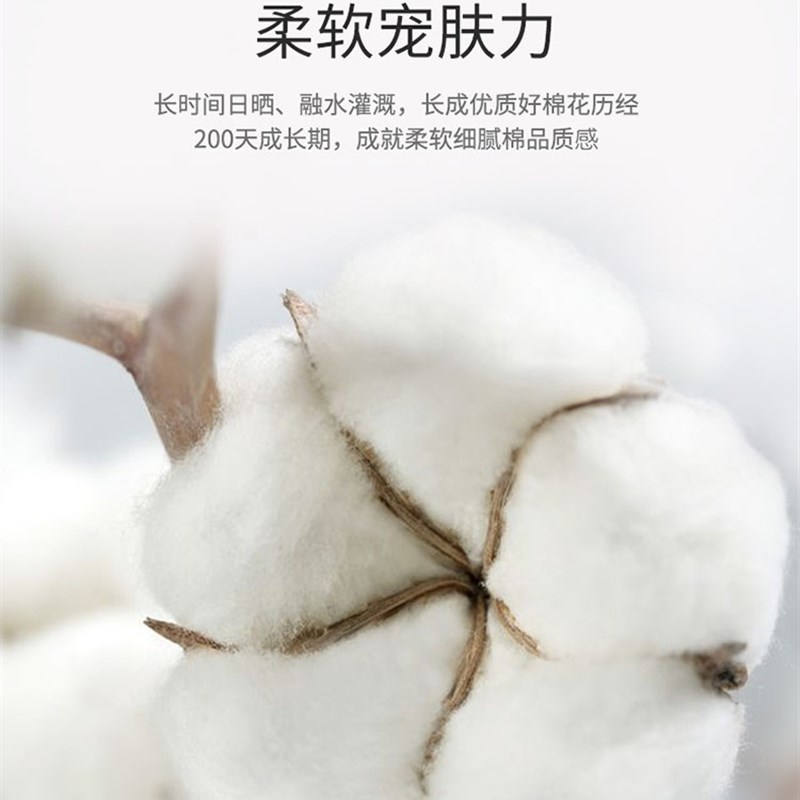 薄款床垫遮盖物软垫家用榻榻米防滑垫褥纯棉垫子褥子床褥
