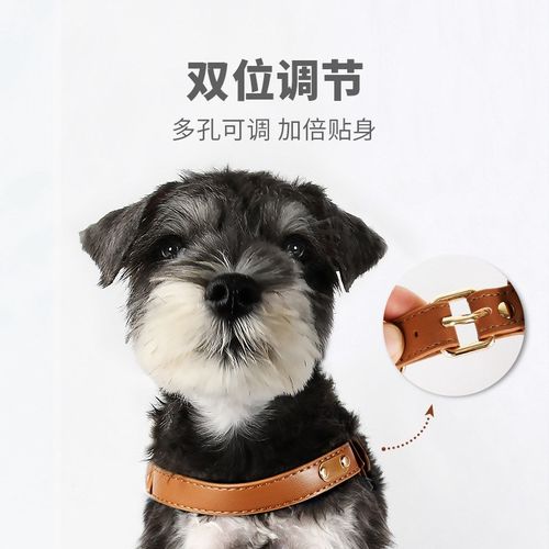 防水柔软皮质小狗狗高颜值胸背带宠物牵引绳套装轻奢小型犬遛狗绳