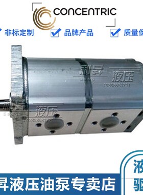 进口CONCENTRIC WP09A2 翰德沃尔沃摊铺机进口双联泵 953T齿轮泵