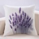 新款 客厅沙发抱枕浪漫紫色靠枕座椅靠背垫薰衣草手绘新床上靠垫