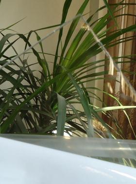 聚碳酸酯板2mmPC耐力板2mmPC板高端透明板2mm耐力板