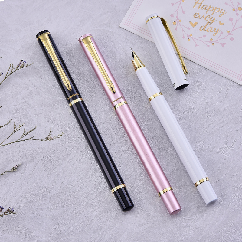 文正钢笔学生小学生钢笔刻字定制练字笔女士精致暗尖钢笔