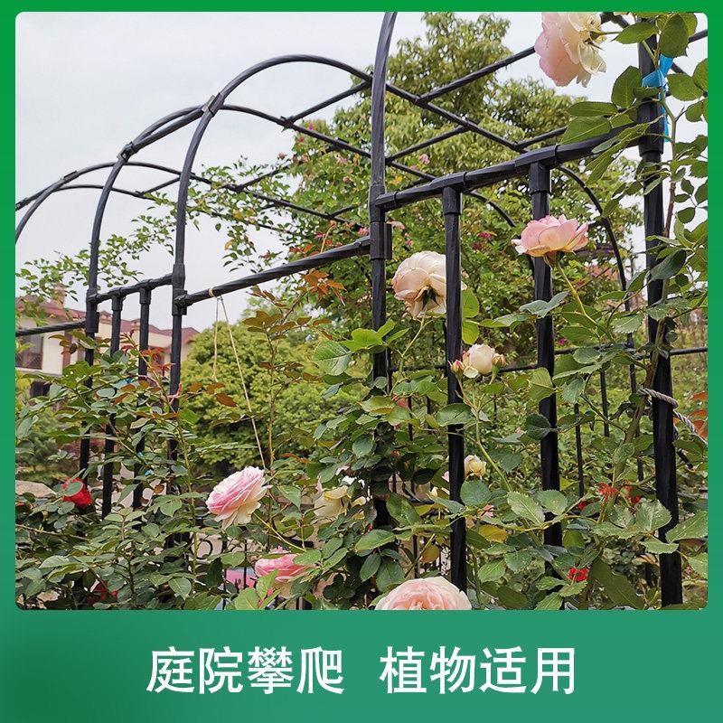 包拱门爬藤花架塑花园铁艺支架植物葡月季萄架阳台攀架爬拱IRX形