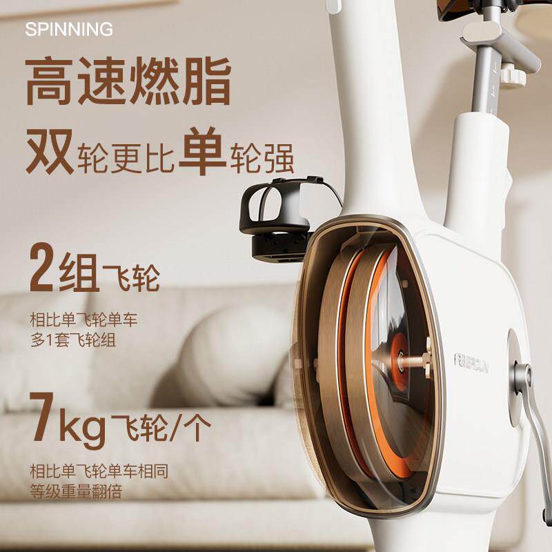 飞健FED-SFL-尔顿身车用静音健室内身自行家车小型运动减肥器材