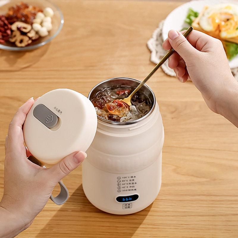 行迷你养生壶家用多能功煮茶器办公室小型烧杯电煮FZM-A500杯旅户
