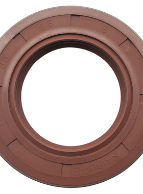 氟胶骨架油封2222*222*2