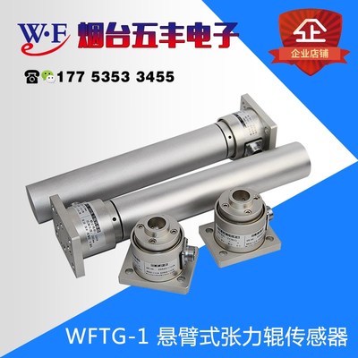 WFTG悬臂式张力辊张力传感器托辊替代蒙特福滑轮张力 口罩机张力