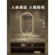 椭圆形挂墙智能浴室镜院带灯触摸屏感应除雾梳妆镜子